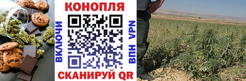 kraken как войти  Гаджиево  Canna-Cookies конопля 