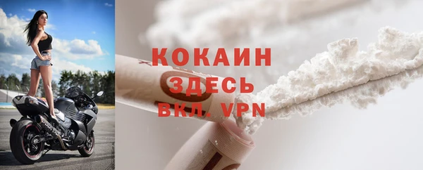 шишки Абинск