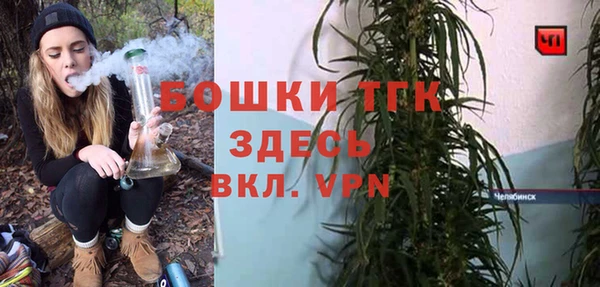 дурь Алексин