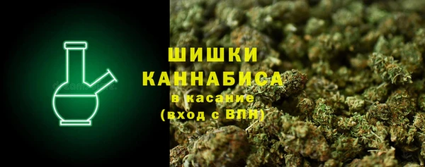 PSILOCYBIN Абаза