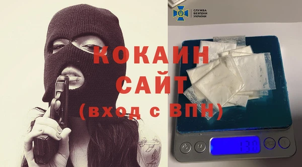 шишки Абинск