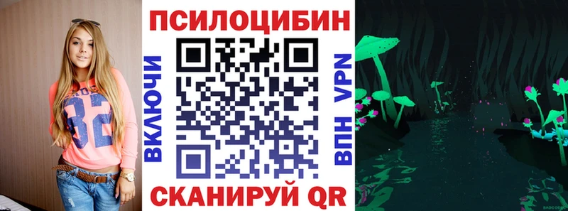 Псилоцибиновые грибы GOLDEN TEACHER  OMG зеркало  Гаджиево  купить  цена 